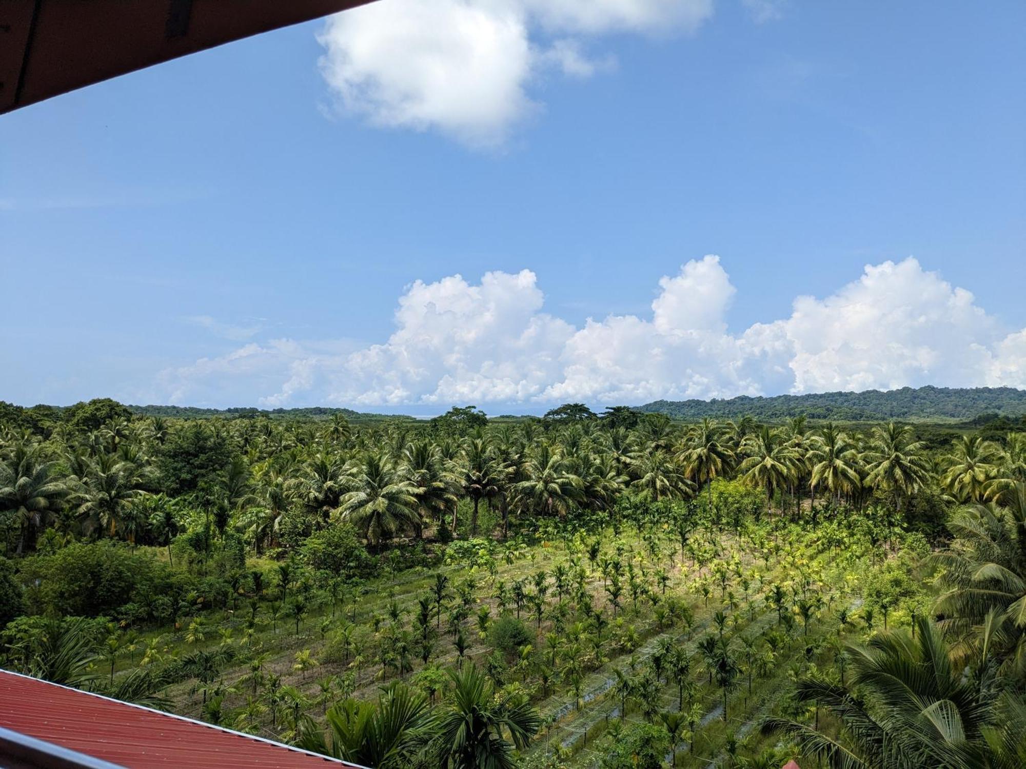 Parkresort - Organic Farm Resort Kala Pathar Beach Exteriör bild